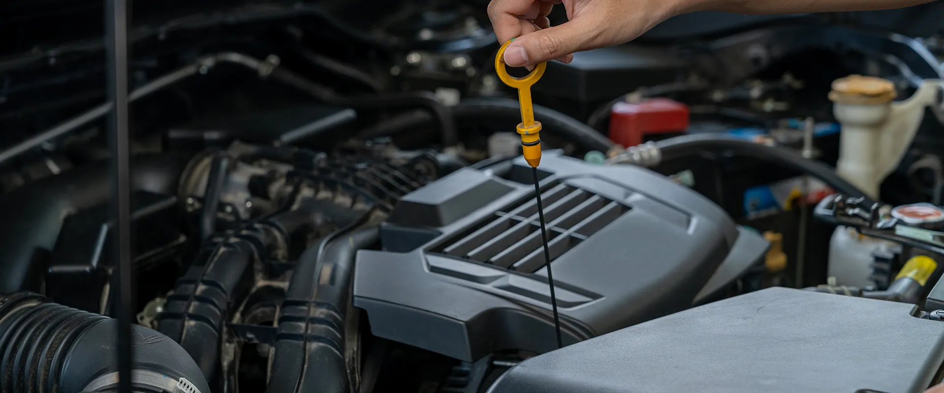 Oil Changes near Shakopee, MN